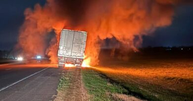 Ruta 9: tras el incendio de un camión a la altura de San Nicolás, decenas de personas se llevaron la carne que transportaba