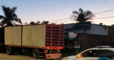 Tragedia en Arrecifes: una joven de 20 años murió tras un choque entre una moto y un camión