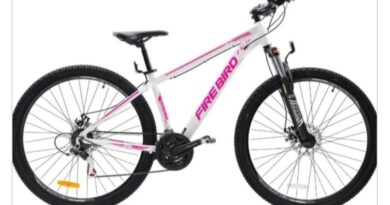 “Si saben algo, por favor avisen”: le robaron la bicicleta a su hermana