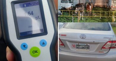 Retuvieron un auto por alcoholemia y retiraron tres caballos sueltos de la vía pública