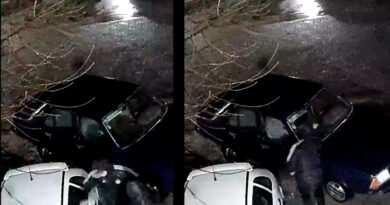 Difundieron imágenes de dos hombres dañando vehículos en la vía pública