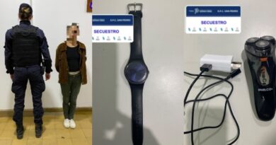 Una mujer fue detenida por un robo en una vivienda tras un rápido operativo policial