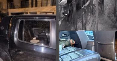 Rompió el vidrio de un auto y robó pertenencias: el hecho quedó registrado en video