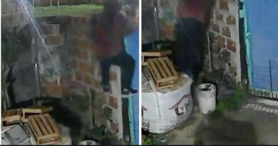 Robaron una soldadora y una desmalezadora de una vivienda en barrio Banfield
