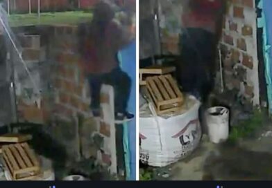Robaron una soldadora y una desmalezadora de una vivienda en barrio Banfield