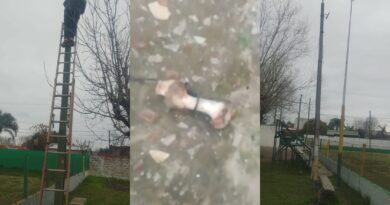 Así robaron cables y reflectores del Club Defensores: utilizaron un hueso de vaca para bajarlos