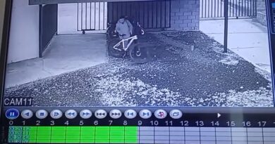 Cámaras de seguridad registraron el robo de una bicicleta en Río Tala