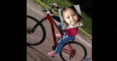 Robaron una bicicleta de una vivienda en barrio Villa Lolita