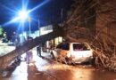 Fuerte tormenta causó importantes daños en Salto y dejó amplios sectores sin electricidad