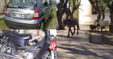 Cinco motos retenidas, un auto secuestrado y dos caballos retirados del centro