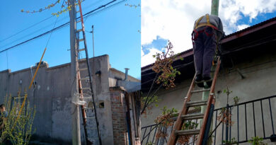 Robaron una escalera que estaba sobre un camión en Colón y Larralde