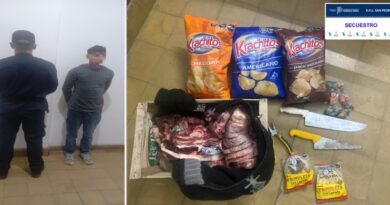 Dos jóvenes fueron aprehendidos tras un robo en una carnicería