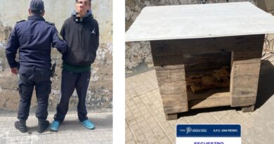 Lo acusó de robarle una cucha para su mascota y terminó a los golpes: un joven fue aprehendido