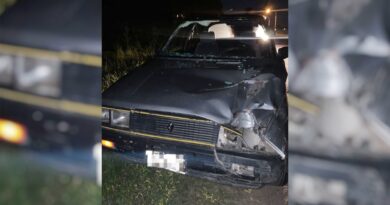 Un auto chocó contra un bovino suelto en Lucio Mansilla: el conductor sufrió lesiones