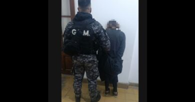 Aprehendieron a una mujer por provocar disturbios en la vía pública