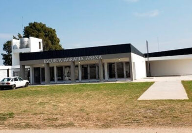 Robaron gallinas y conejos de la Escuela Agraria y piden donaciones para reponerlos