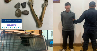 Detuvieron a un joven de 19 años por romper la luneta de una camioneta con una gomera
