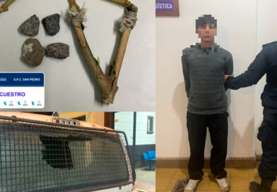 Detuvieron a un joven de 19 años por romper la luneta de una camioneta con una gomera