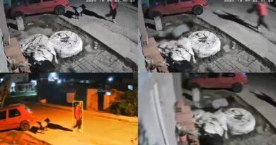 Robaron un triciclo infantil y el delincuente quedó grabado huyendo con él