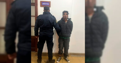 Aprehendieron a un hombre de 38 años por agredir a su pareja